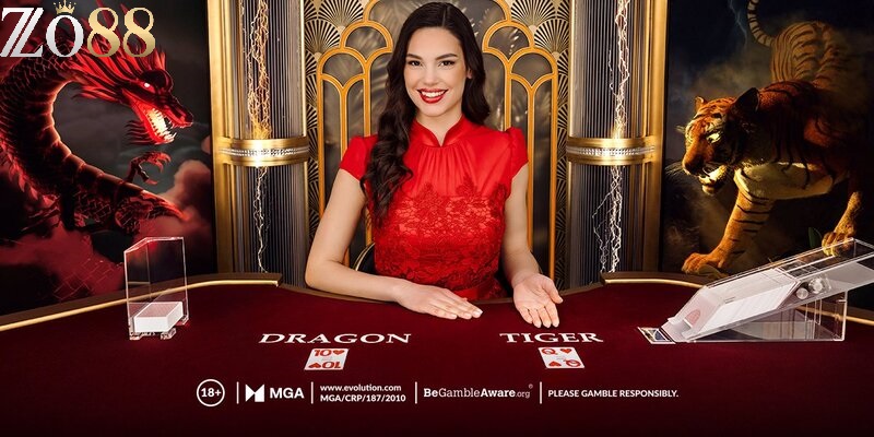 Khám Phá Dragon Tiger ZO88 - Trải Nghiệm Casino Đỉnh Cao 4 Tham gia ZO88 để chơi Dragon Tiger